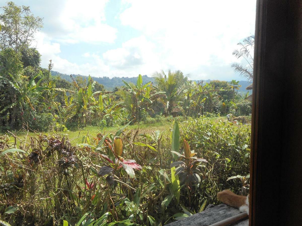 Bed and Breakfast The Bukit Artha à Sidemen  Extérieur photo