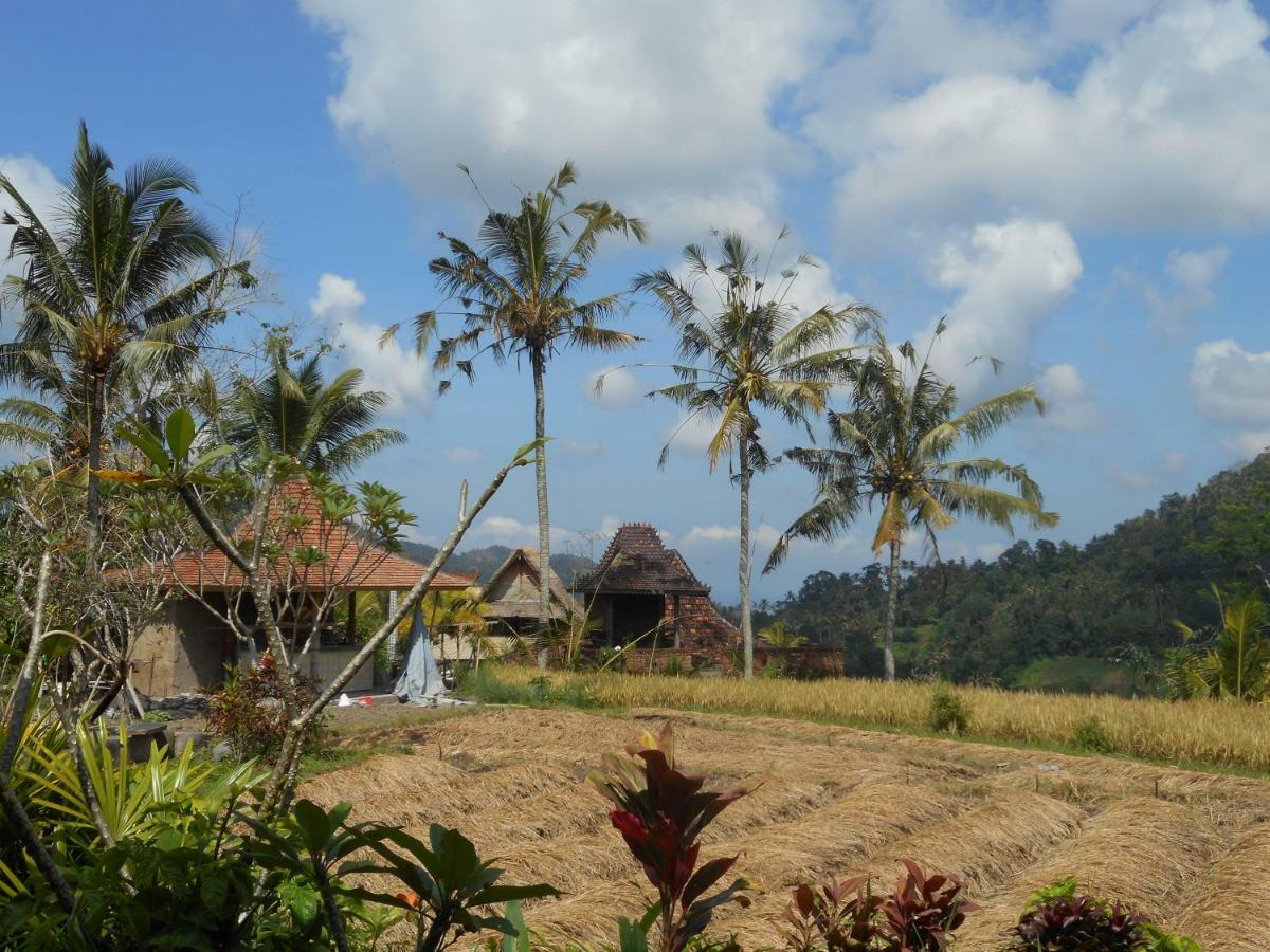Bed and Breakfast The Bukit Artha à Sidemen  Extérieur photo